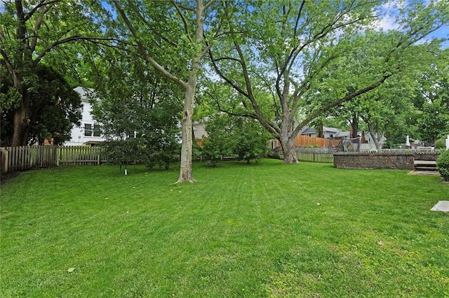 10234 Monrovia St, Lenexa, KS 66215 - view of yard
