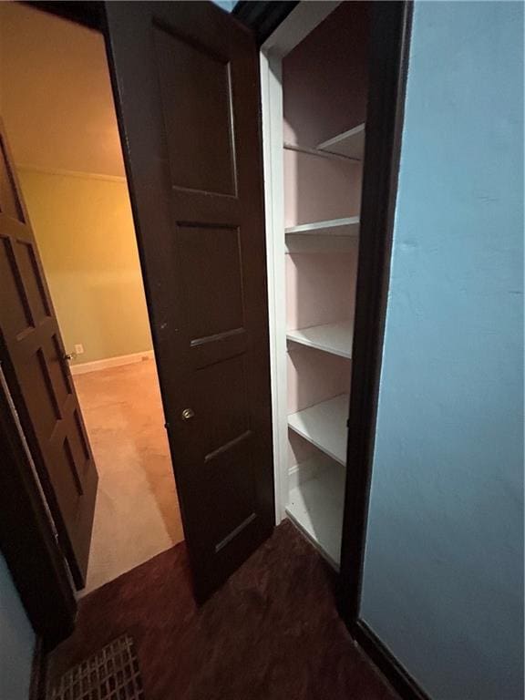 view of closet
