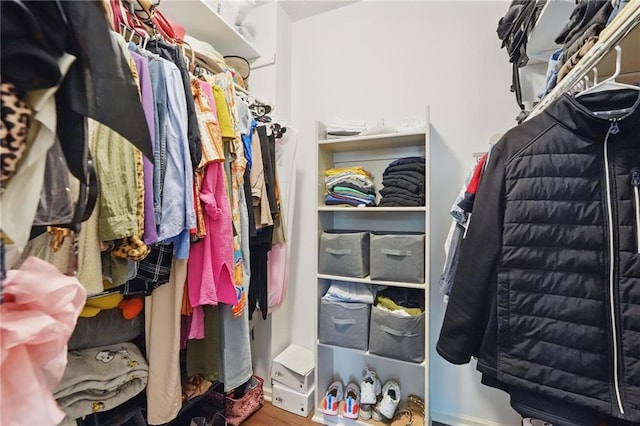 1605 NW Primrose Ln, Blue Springs, MO 64015 - view of walk in closet
