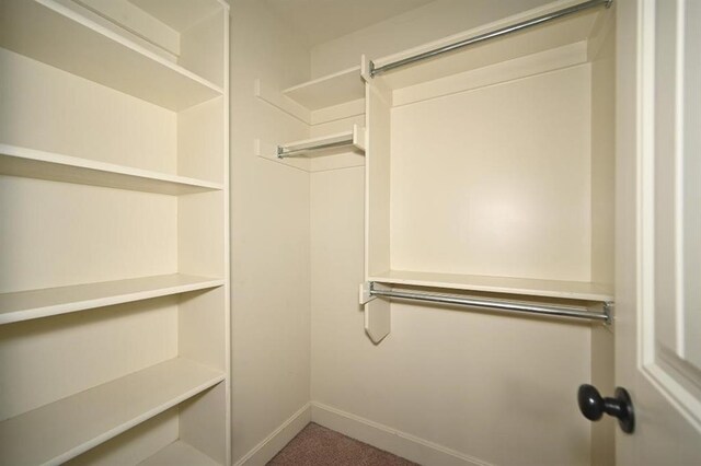 15790 NW 125th St, Platte City, MO 64079 - spacious closet featuring carpet floors