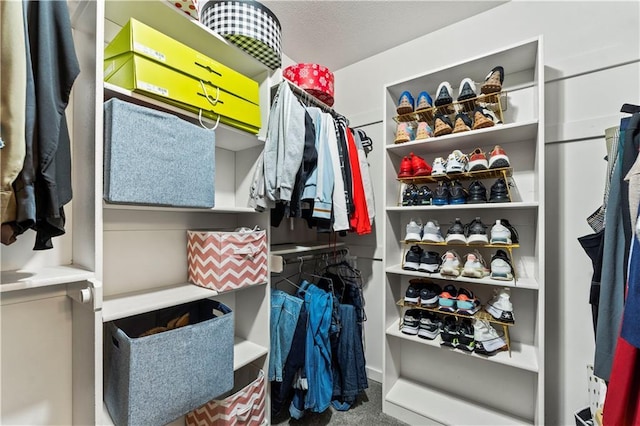 4108 NW 76th St, Kansas City, MO 64151 - view of walk in closet