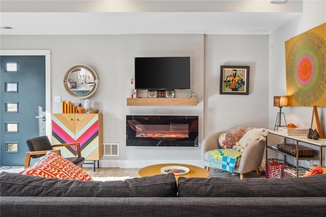 living area with a glass covered fireplace and wood finished floors