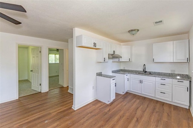 6021 E 151st Ter, Grandview, MO 64030 - kitchen featuring a sink, under cabinet range hood, wood finished floors, white cabinets, and a ceiling fan