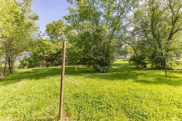 6021 E 151st Ter, Grandview, MO 64030 - view of yard
