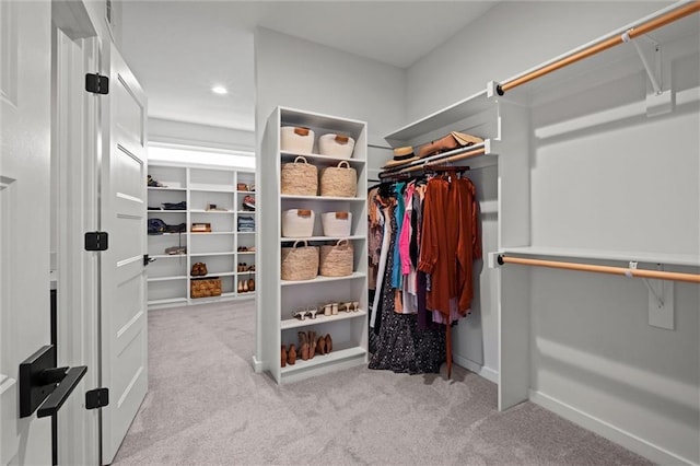 15932 W 171st Ter, Olathe, KS 66062 - walk in closet with carpet flooring