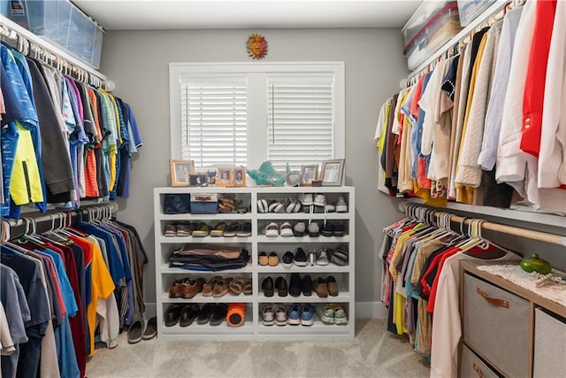 16966 S Durango St, Olathe, KS 66062 - spacious closet featuring carpet