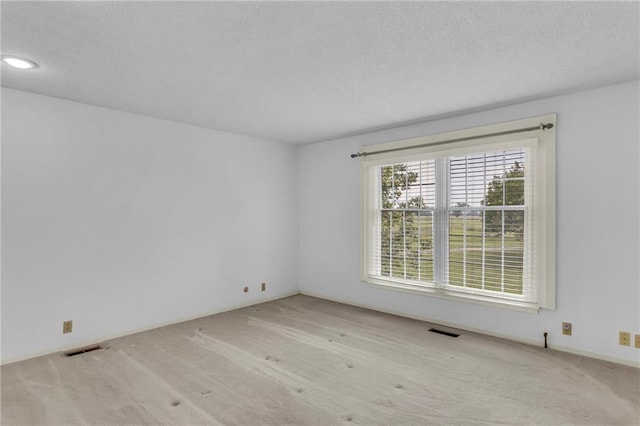 28210 Hedge Ln, Paola, KS 66071 - spare room with carpet and a textured ceiling