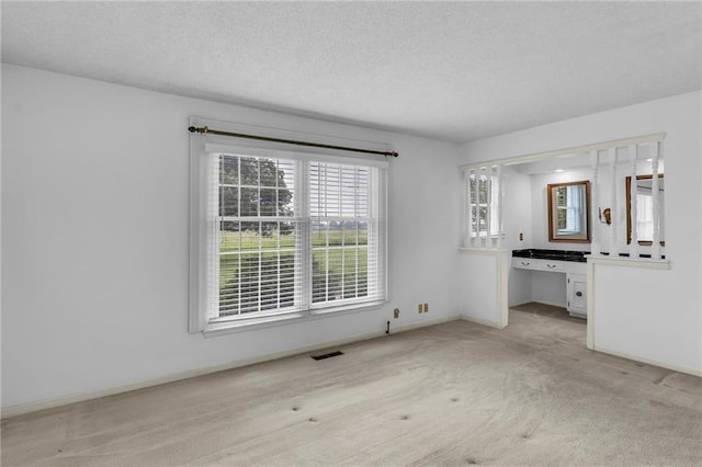 28210 Hedge Ln, Paola, KS 66071 - unfurnished bedroom with light colored carpet, multiple windows, a textured ceiling, and baseboards
