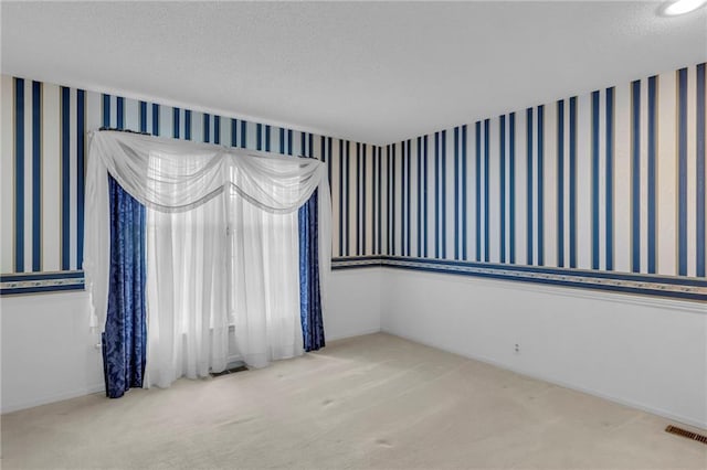 28210 Hedge Ln, Paola, KS 66071 - unfurnished room with carpet floors and a textured ceiling