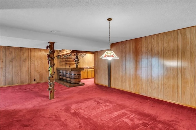 28210 Hedge Ln, Paola, KS 66071 - unfurnished room with wood walls, carpet flooring, a textured ceiling, and baseboards