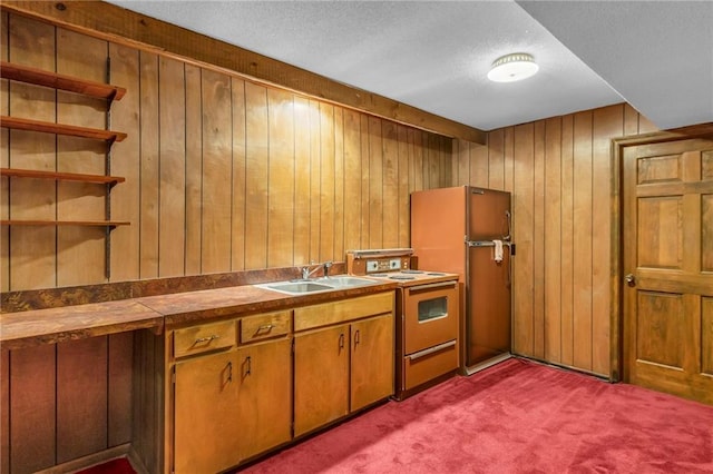 28210 Hedge Ln, Paola, KS 66071 - kitchen featuring electric stove, a sink, wood walls, dark colored carpet, and brown cabinetry