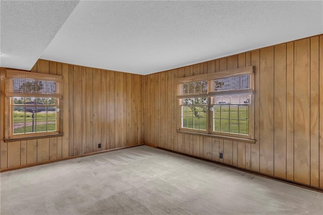 28210 Hedge Ln, Paola, KS 66071 - carpeted empty room featuring a textured ceiling and wood walls