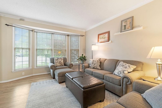 14263 W 129th Ter, Olathe, KS 66062 - living room featuring wood finished floors, ornamental molding, baseboards, and a textured ceiling