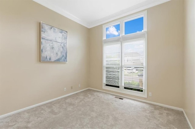 spare room featuring ornamental molding, carpet, and baseboards