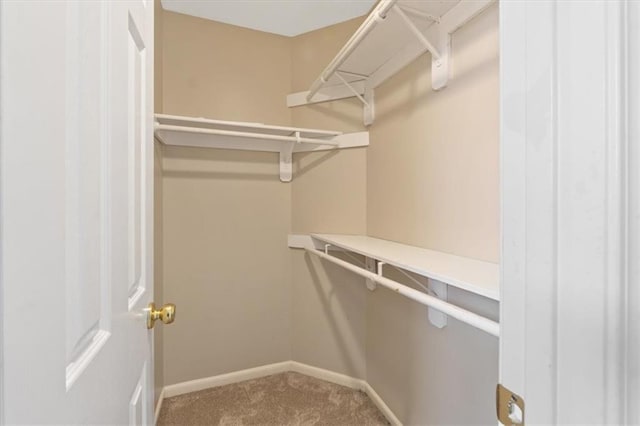 spacious closet with carpet flooring