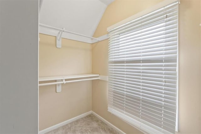 spacious closet featuring vaulted ceiling and carpet floors