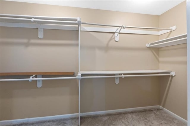 spacious closet featuring carpet