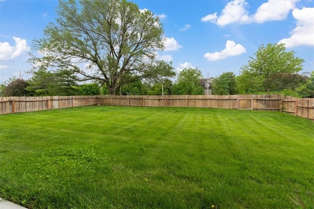 view of yard
