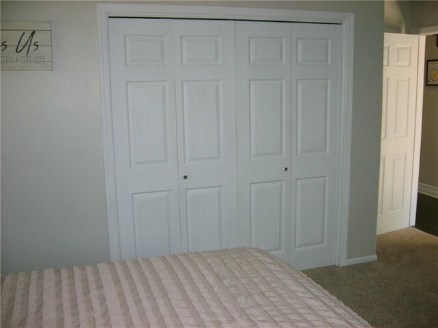 509 Pearl St, Pittsburg, KS 66762 - bedroom with carpet flooring, a closet, and baseboards
