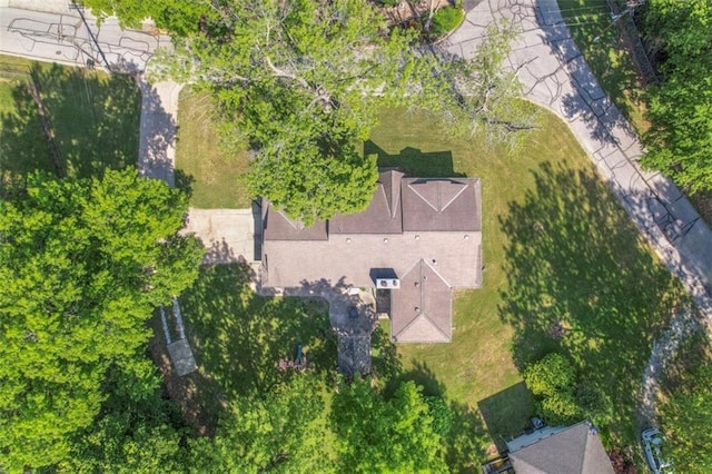 bird's eye view