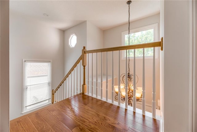 6402 W 147th Ter, Overland Park, KS 66223 - stairs featuring a chandelier, healthy amount of natural light, wood finished floors, and baseboards