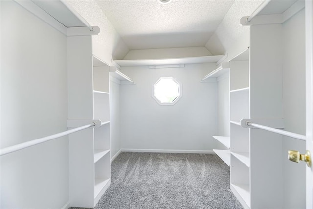 6402 W 147th Ter, Overland Park, KS 66223 - walk in closet featuring carpet