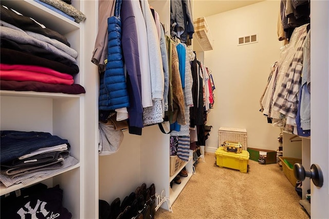 walk in closet featuring carpet flooring