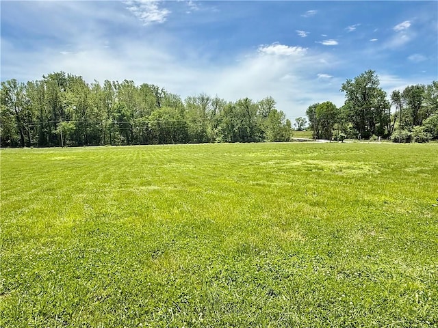 view of grassy yard with a view of rural / pastoral area