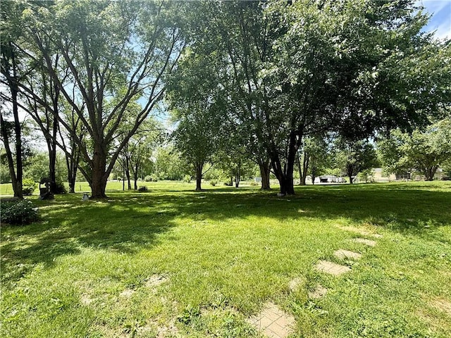 view of grassy yard