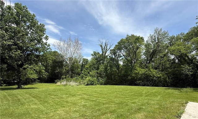 view of green lawn
