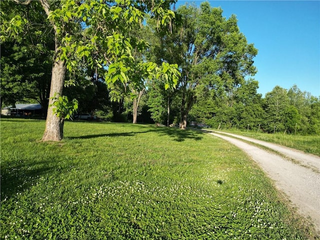 view of dirt / gravel road