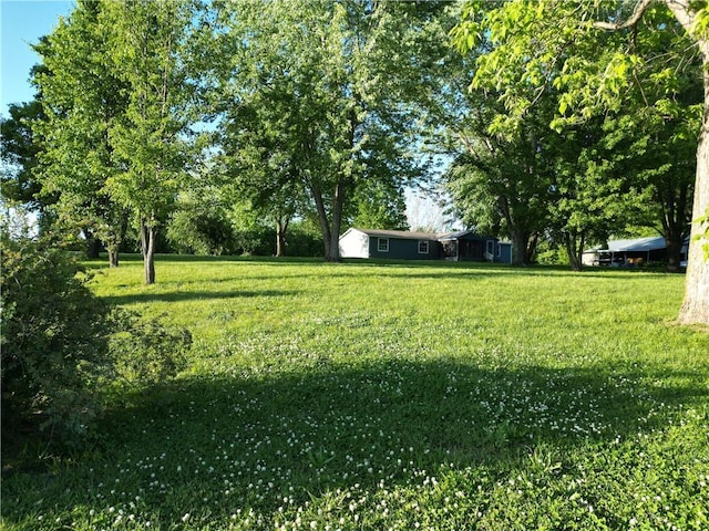 view of green lawn