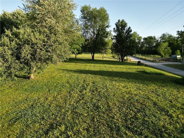 view of green lawn