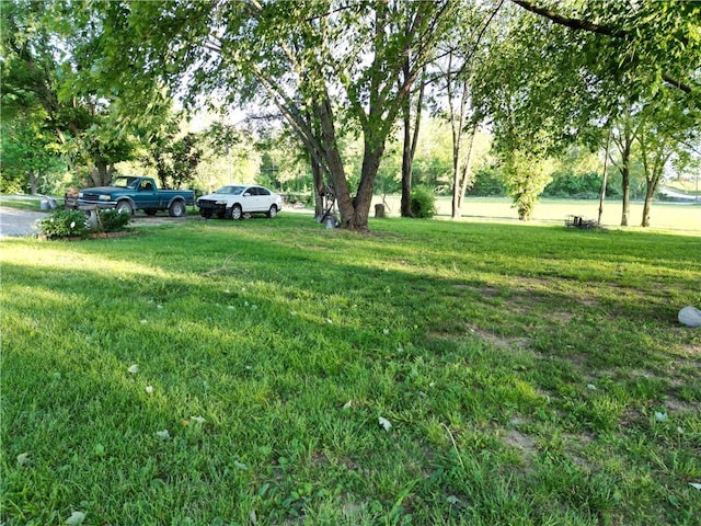 view of green lawn