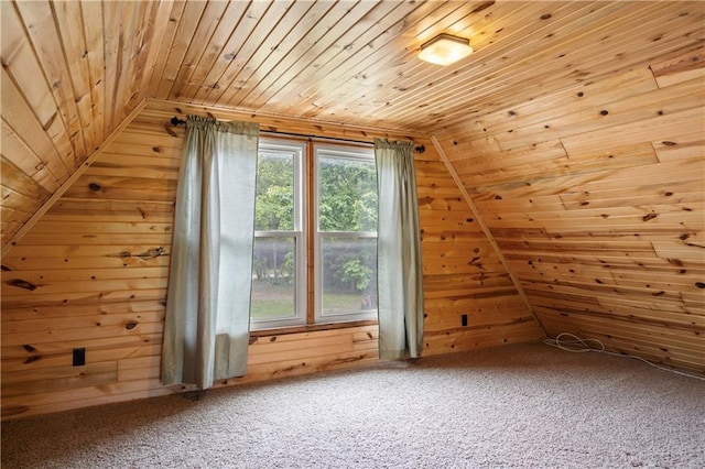 429 SE Lakeside Dr, Lacygne, KS 66040 - bonus room with wooden ceiling, wooden walls, lofted ceiling, and carpet