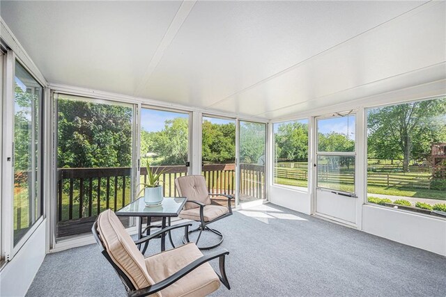 811 S Park Dr, Raymore, MO 64083 - photo 25