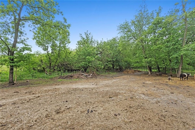 336 SE Zack Wheat Dr, Polo, MO 64671 - view of local wilderness