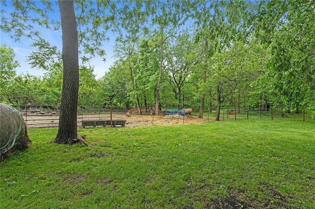336 SE Zack Wheat Dr, Polo, MO 64671 - view of yard