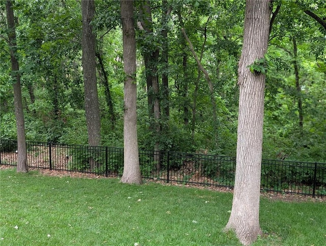 4612 Roberts St, Shawnee, KS 66226 - view of yard