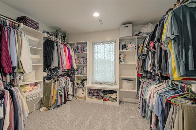 2241 Foxtail Dr, Kearney, MO 64060 - walk in closet with carpet