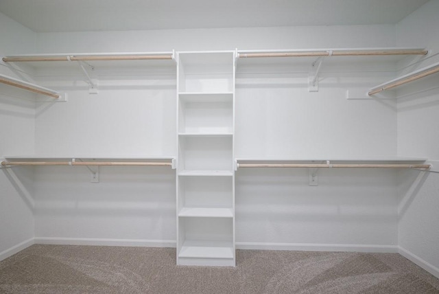 1012 2nd St, Perry, KS 66073 - walk in closet featuring carpet