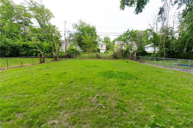 3312 Delavan Ave, Kansas City, KS 66104 - view of yard