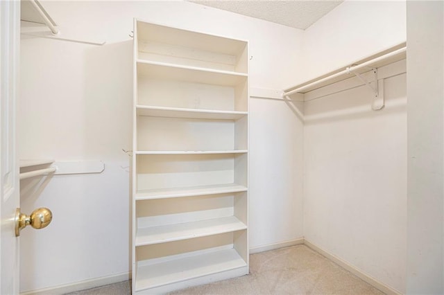417 N Locust St, Gardner, KS 66030 - spacious closet with carpet floors