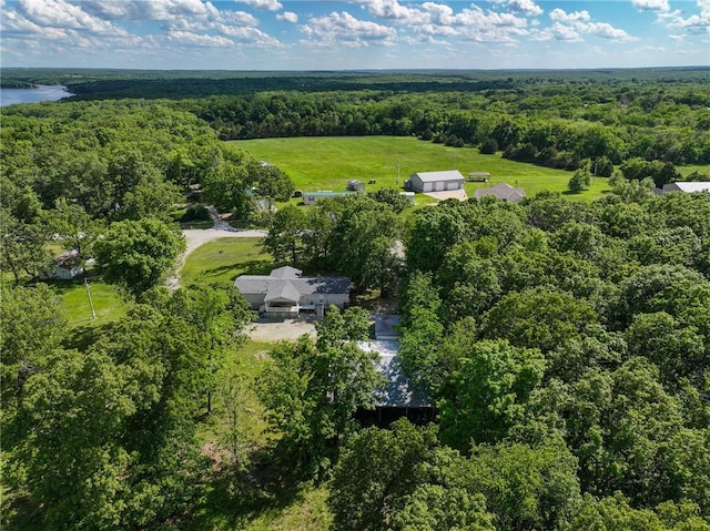 20435 Rb Hwy, Flemington, MO 65650 - aerial overview of property's location with a forest and a large body of water