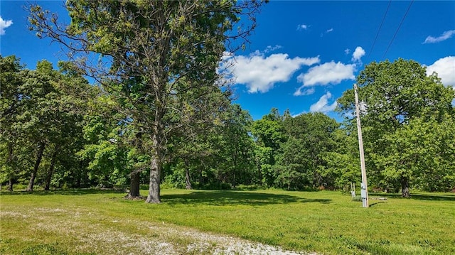 20435 Rb Hwy, Flemington, MO 65650 - view of green lawn