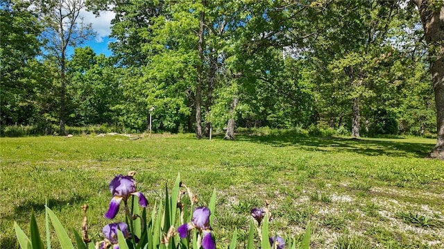 20435 Rb Hwy, Flemington, MO 65650 - view of yard