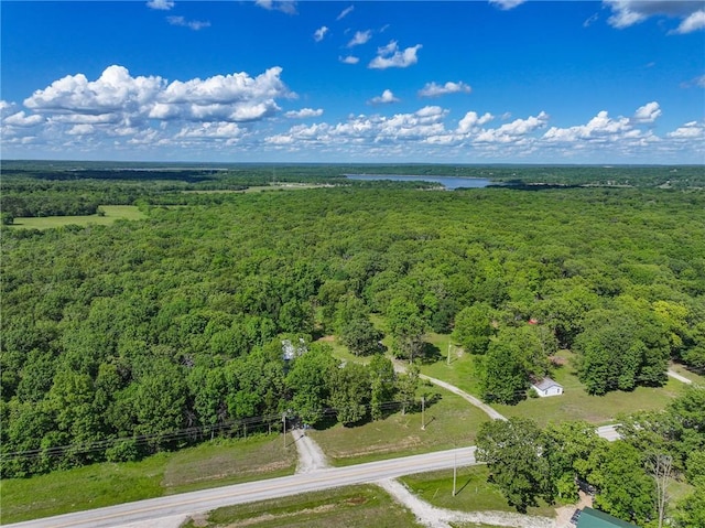 20435 Rb Hwy, Flemington, MO 65650 - aerial view of a heavily wooded area