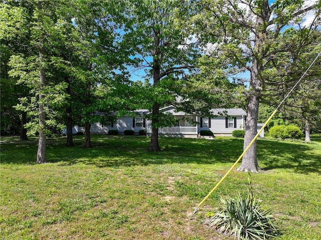20435 Rb Hwy, Flemington, MO 65650 - view of grassy yard