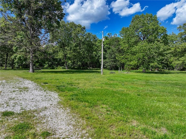 20435 Rb Hwy, Flemington, MO 65650 - view of green lawn