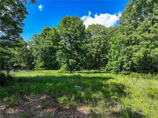 20435 Rb Hwy, Flemington, MO 65650 - view of tree filled area